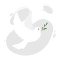 Flying white dove of peace with an olive branch in its beak. Royalty Free Stock Photo